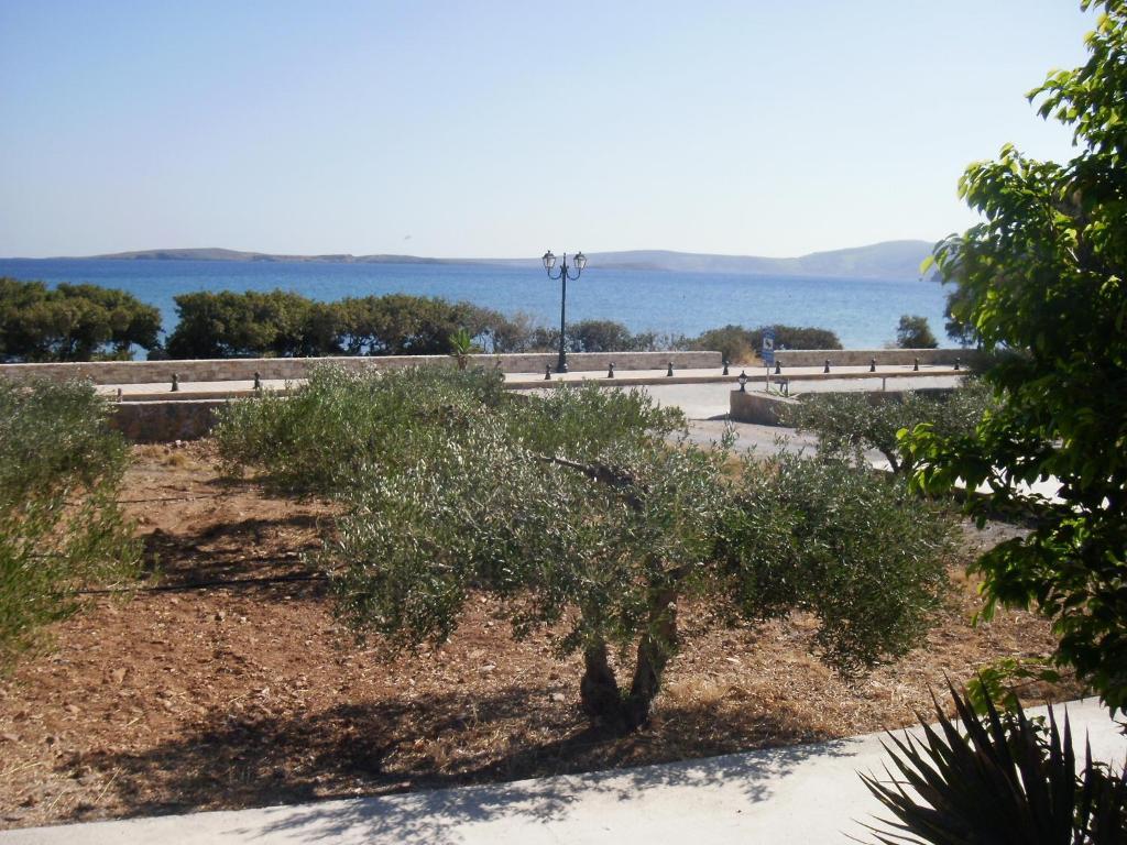 Kouremenos Beach Apartments Palekastro Zewnętrze zdjęcie