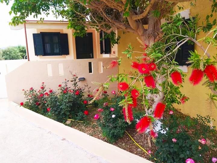 Kouremenos Beach Apartments Palekastro Zewnętrze zdjęcie